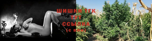 гидра Белоозёрский