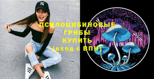 ПСИЛОЦИБИНОВЫЕ ГРИБЫ Беломорск