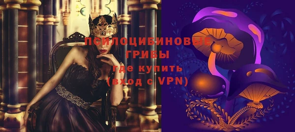 ПСИЛОЦИБИНОВЫЕ ГРИБЫ Беломорск